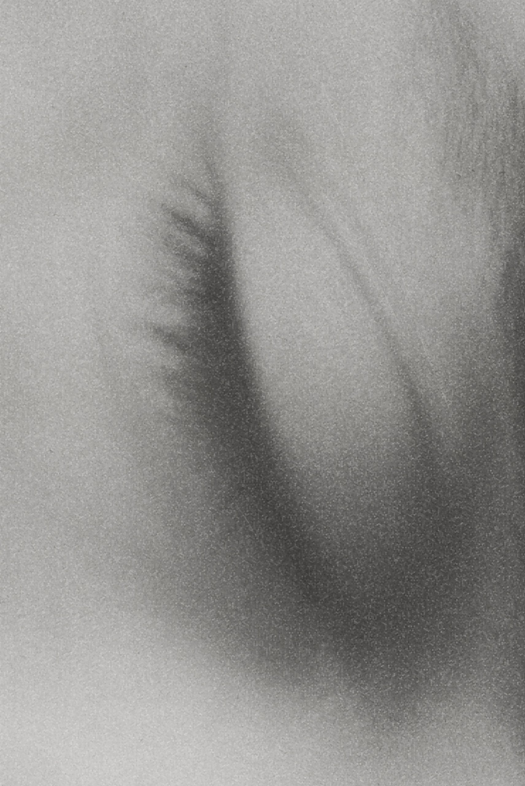 sc3